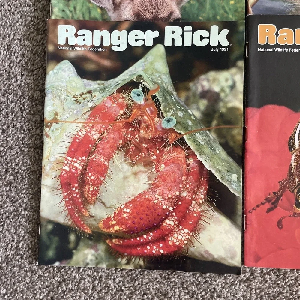 Ranger Rick's Nature Magazine 1991 National Wildlife Kids Vtg Lot Of 12 Complete